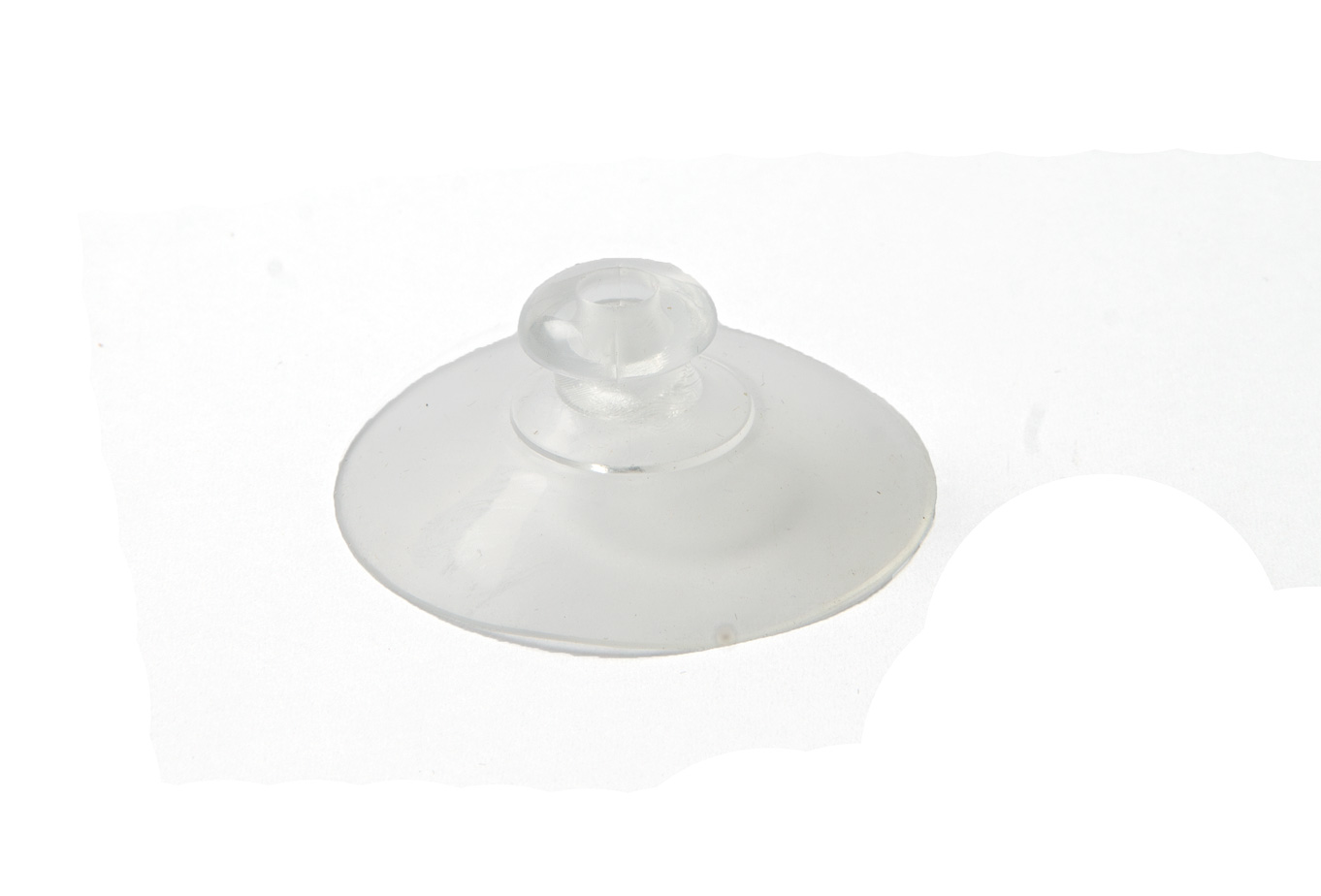 Saugnapf
Suction pad
Ventouse
Ventosa