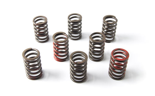 Ventilfedern
Valve springs
Ressorts de valve
Klepverenset
Mu